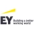 Logo EY (Ernst & Young)
